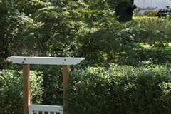 Vanderwarker_0604
